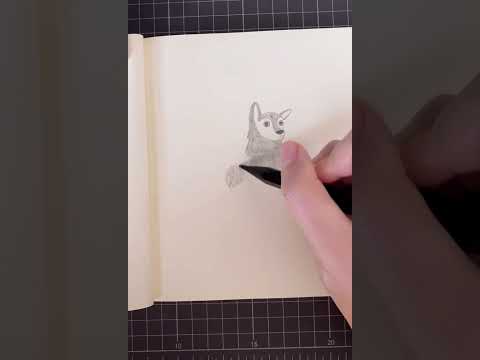 17速写｜铅笔手绘｜回眸一笑的狐狸～有没有被萌到！