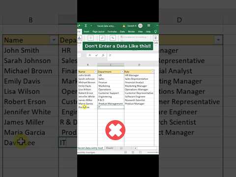 Excel’s SECRET Data Entry Tool
