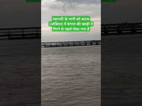 नदी के पानी को समुद्र में गिरने से पहले क्यों रोक जाता है?? #railwaycontent #river #mahandi #cuttack