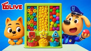🔴LIVE | Dodo's Chore Challenge | Learn to Help | Good Habits | Sheriff Labrador | Cartoon | BabyBus