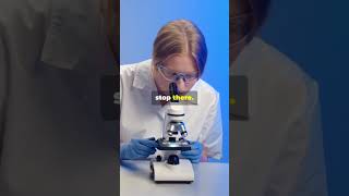 Marie Curie: The Pioneer of Radioactivity