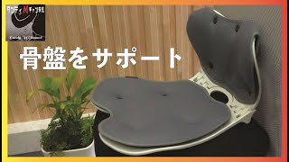折りたたみコンパクト　INSBES骨盤サポートチェア　腰痛改善　腰をやられている方に
