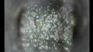 OIL WELL  downhole video taken at 1213' depth SEE the oil running into the hole.