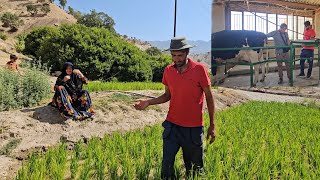A rural family. Babak left his family and village and went to a nomadic area. @par8484
