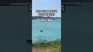 비싸다고 난리 난 제주여행 2박3일 비용 (동쪽편)