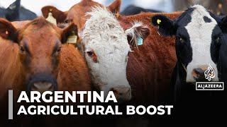 Argentina cuts export taxes to boost farming sector and production