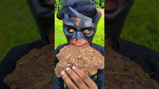 Biskut vs rumpum 😂🤣 #funnyvideo #trendingshorts #shorts #viralshorts #viratkohli