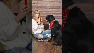 And for the record, Finn is the perfect dog 🥰 #autism #servicedog #dog #dogtraining #autistic