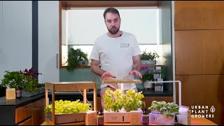 How to choose a Smart Garden