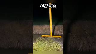 야간 습격에  나선 버킷낚시