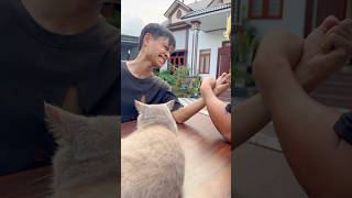 THE CAT is so SMART 😺🤣 #cat #smartcat #cutecat #funny #shortsfeed