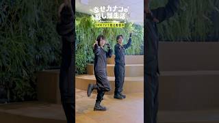 カナコ＆桜井先輩によるカナコロダンスを初披露！#のん #藤ヶ谷太輔 #幸せカナコの殺し屋生活 #カナコロ