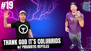 COLUBRID DEEP DIVE DISCUSSION W/ JOEL REEP OF PRISMATIC REPTILES | THANK GOD IT'S COLUBRIDS LIVE