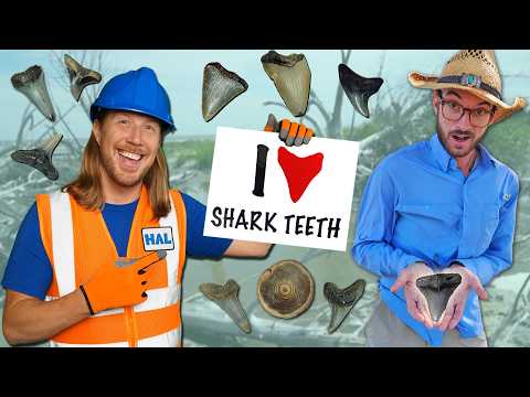 Fossil Finding with a Paleontologist | Shark Teeth Adventure with @CharlestonFossilAdventures