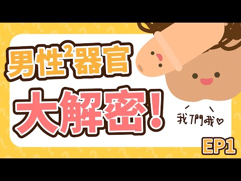 打破迷思！男性性器官全方位解密！【U聊性教育 EP1】