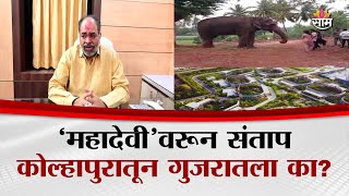 "महादेवीला गुजरातला पाठवण्याचा निर्णय दुर्दैवी"आमदार विनय कोरेंची प्रतिक्रिया | Kolhapur Controversy