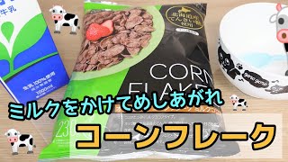 【ASMR】コーンフレークを食べたよ😋