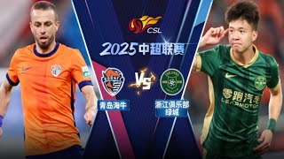 中超集锦：青岛海牛vs浙江队，即插即用，罗马尼亚国脚米特里策梅开二度
