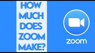 How Much Does Zoom Make?