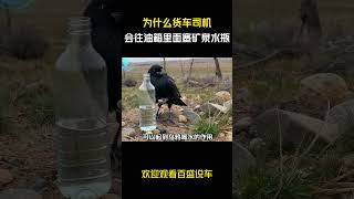 为什么货车司机会往油箱里面塞矿泉水瓶？#汽车 #科普 #car