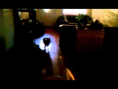 Dharma howling