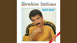 Mavi Mavi