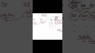 SAP IBP #sapdemo #sapibp #techreels #reels #shorts #trending #technology #techshorts #technologia