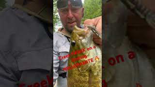 Creek Freak on Sinking Hellgrammite #nikko #smallmouthbass #creek #creekfishing #outdooradventures