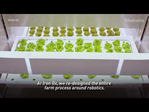 Smart Grower