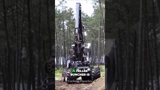 You Won't Believe What This Monster Machine Can Do to Trees! 🤯 #shorts
