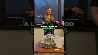 Revolutionizing Agriculture with AI and IoT  Transforming Food Accessibility