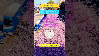 《1型糖尿病》年間医療費×医療費控除×確定申告🏥 生きるためのお金💰#type1diabetes#糖尿病