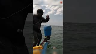 Back to Back Grouper Fish Caught in the Deep Sea #fishing #fishingvideo #fishingtime