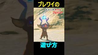 【 ブレワイの遊び方】　キャッチボール編 #ゼルダの伝説 #zelda #ゼルダの伝説ブレスオブワイルド #ゼルダの伝説ティアーズオブザキングダム
