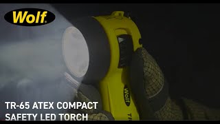 TR-65 ATEX COMPACT SAFETY LED TORCH GUIDE