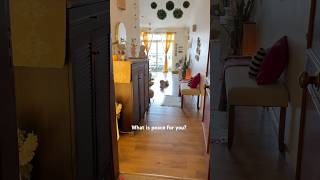 My home🥹🏡 #shorts #youtubeshorts #home #homedecor #livingroom #hometour