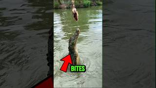 Dangerous Animal Bites in the world 😱 #animalfacts #wildlife #facts