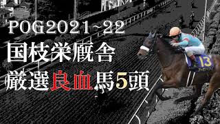 【POG21-22】国枝厩舎の厳選良血２歳馬を５頭紹介！アーモンドアイに続け！