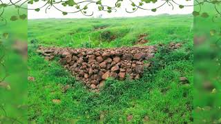 Hind Ngo Work