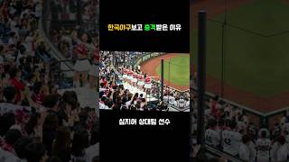 한국야구보고 충격받은 이유