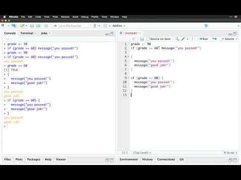 4 - Conditionals and Looping