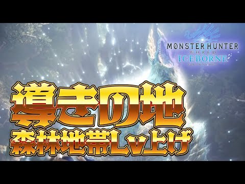 導きの地LVあげ　【MHW:IB】