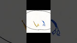 #i#hiragana #ひらがな #い#japanese #にほんご