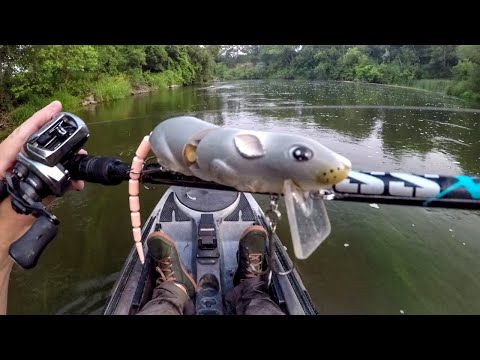 Smallies Love The Rat Lure!