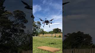 Flying DIY copter #shorts #diydrone #ardupilot