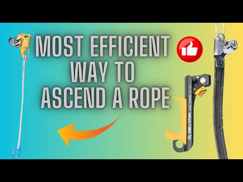 6 Ways to ASCEND a ROPE using SRT | Tree Climbing Techniques