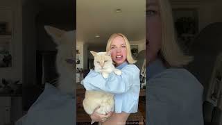 copy and paste！#fyp #foryou #cat #petlove #catlover #funny #funnyvideos #fypage #funnycat #cats