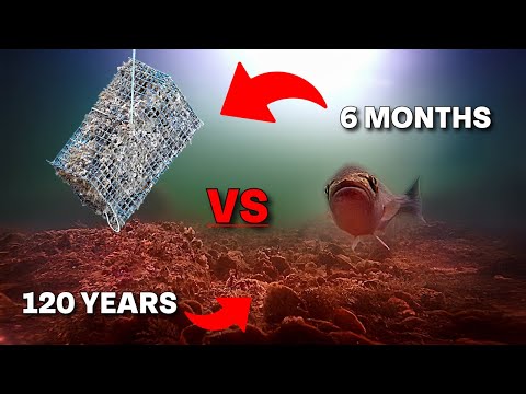 Making Our Lighthouse Into An Oyster Reef!