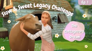 This Cozy Sims 4 Legacy Challenge Might Be My Favorite One Yet 🍯✨| Sims 4