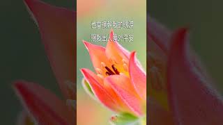 #主的同在 #詩歌 #原創 #讚美  #佈克麗娜 #鄧美香 #萬首詩歌
